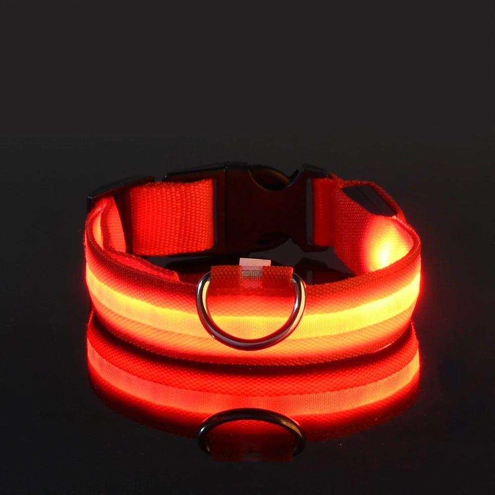 Glow LED Dog Collar