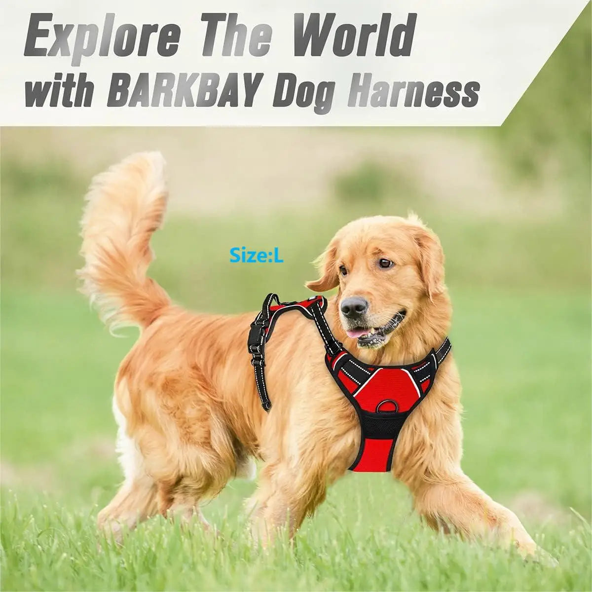 Reflective No-Pull Harness