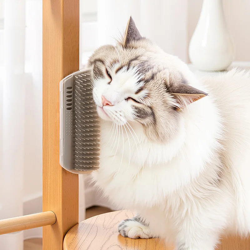 Catnip Corner Brush