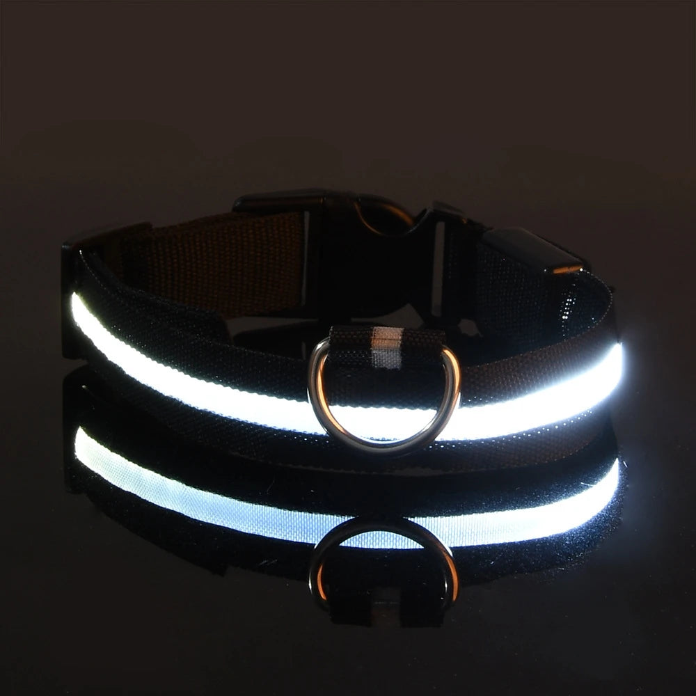 Glow LED Dog Collar