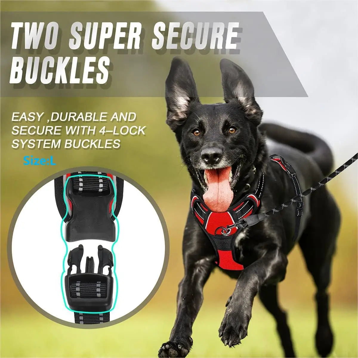 Reflective No-Pull Harness
