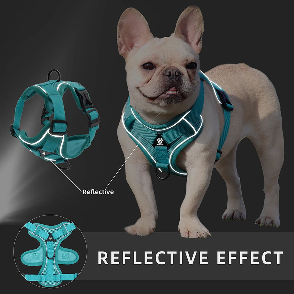 Padded No-Pull Harness