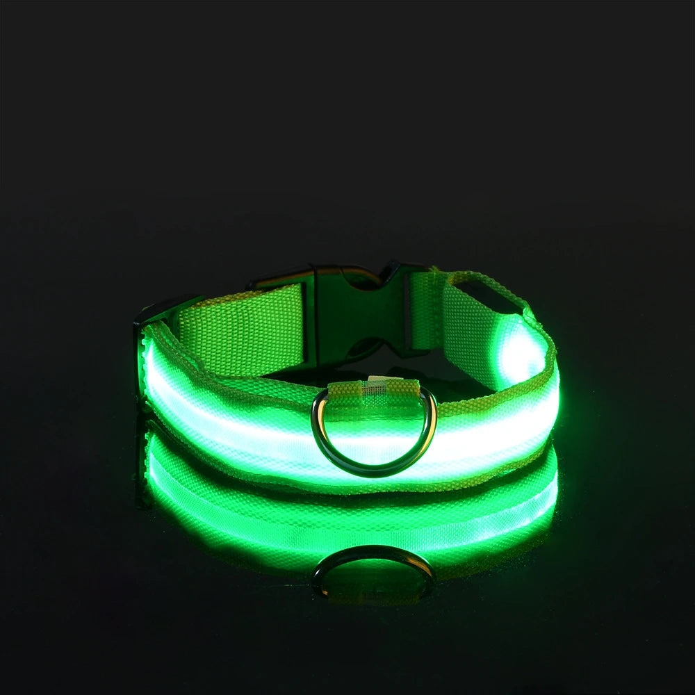 Glow LED Dog Collar