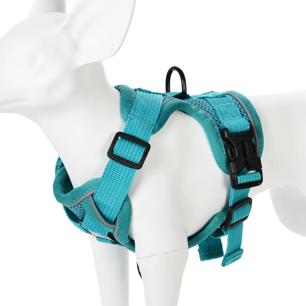 Padded No-Pull Harness