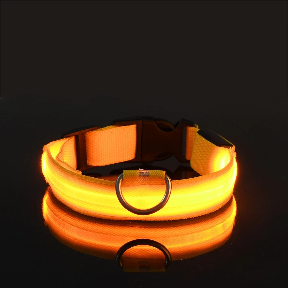 Glow LED Dog Collar