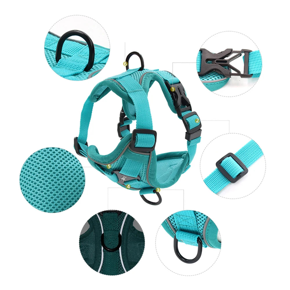 Padded No-Pull Harness