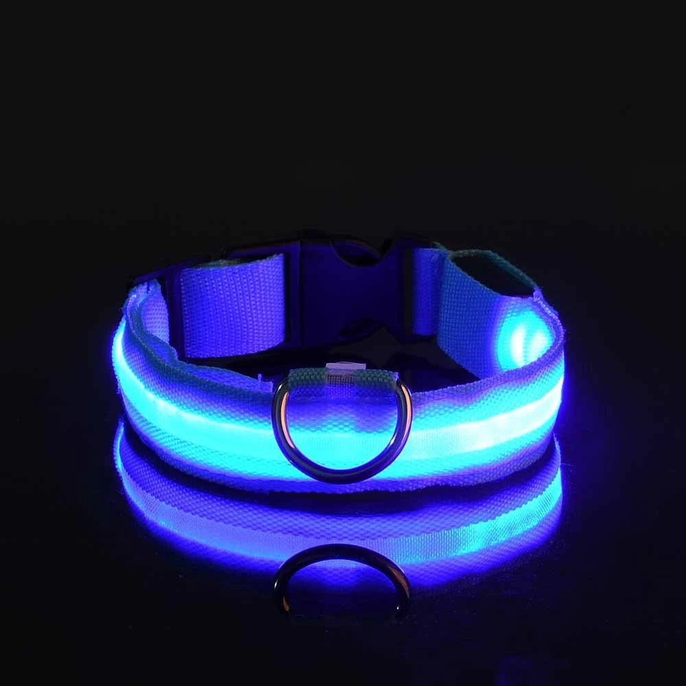 Glow LED Dog Collar