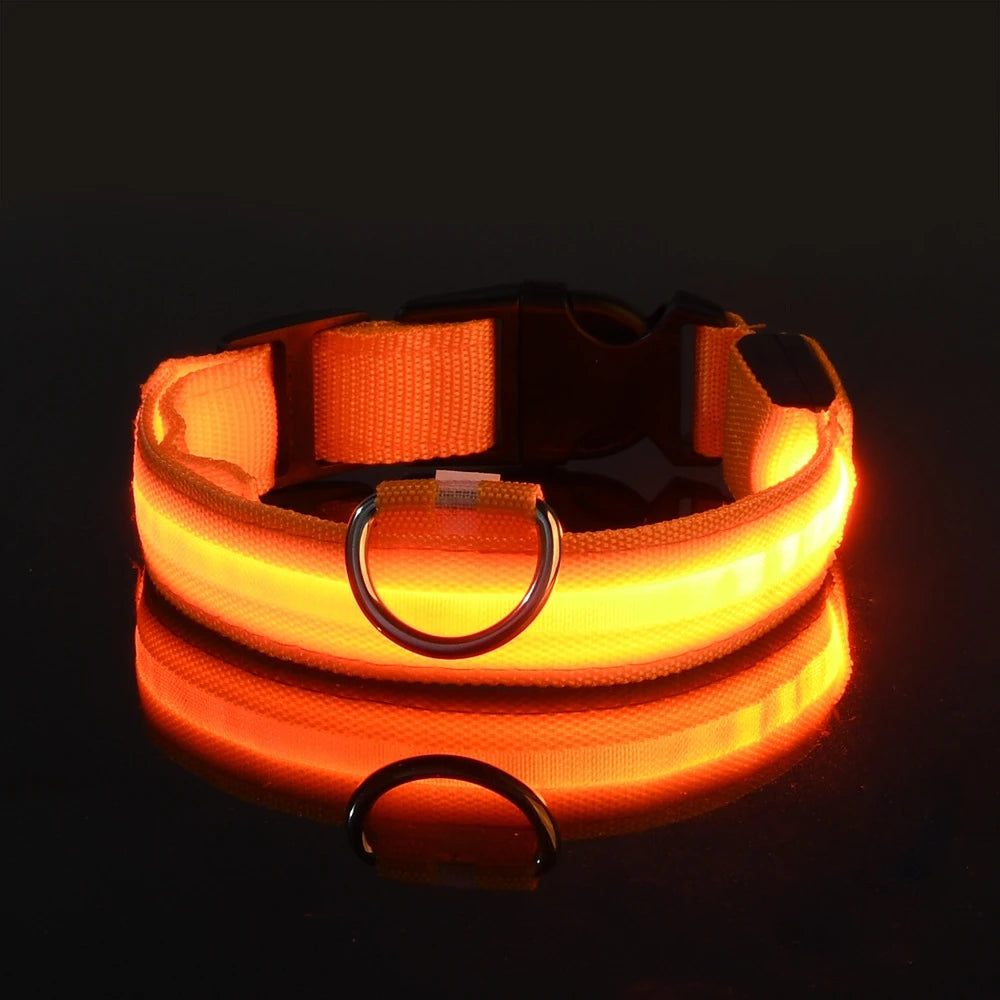Glow LED Dog Collar