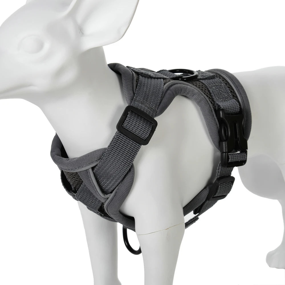 Padded No-Pull Harness