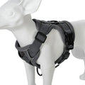 Padded No-Pull Harness
