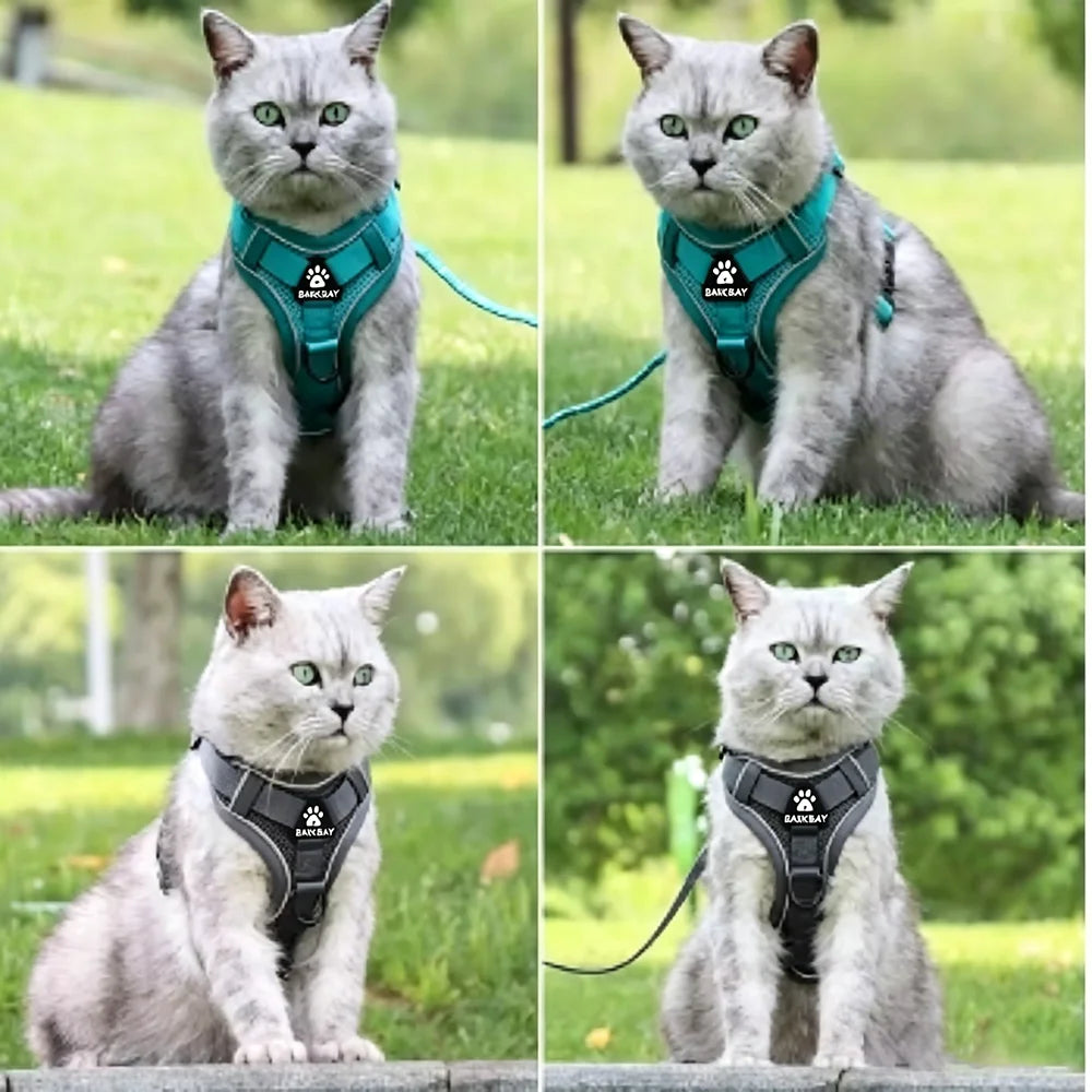 Padded No-Pull Harness