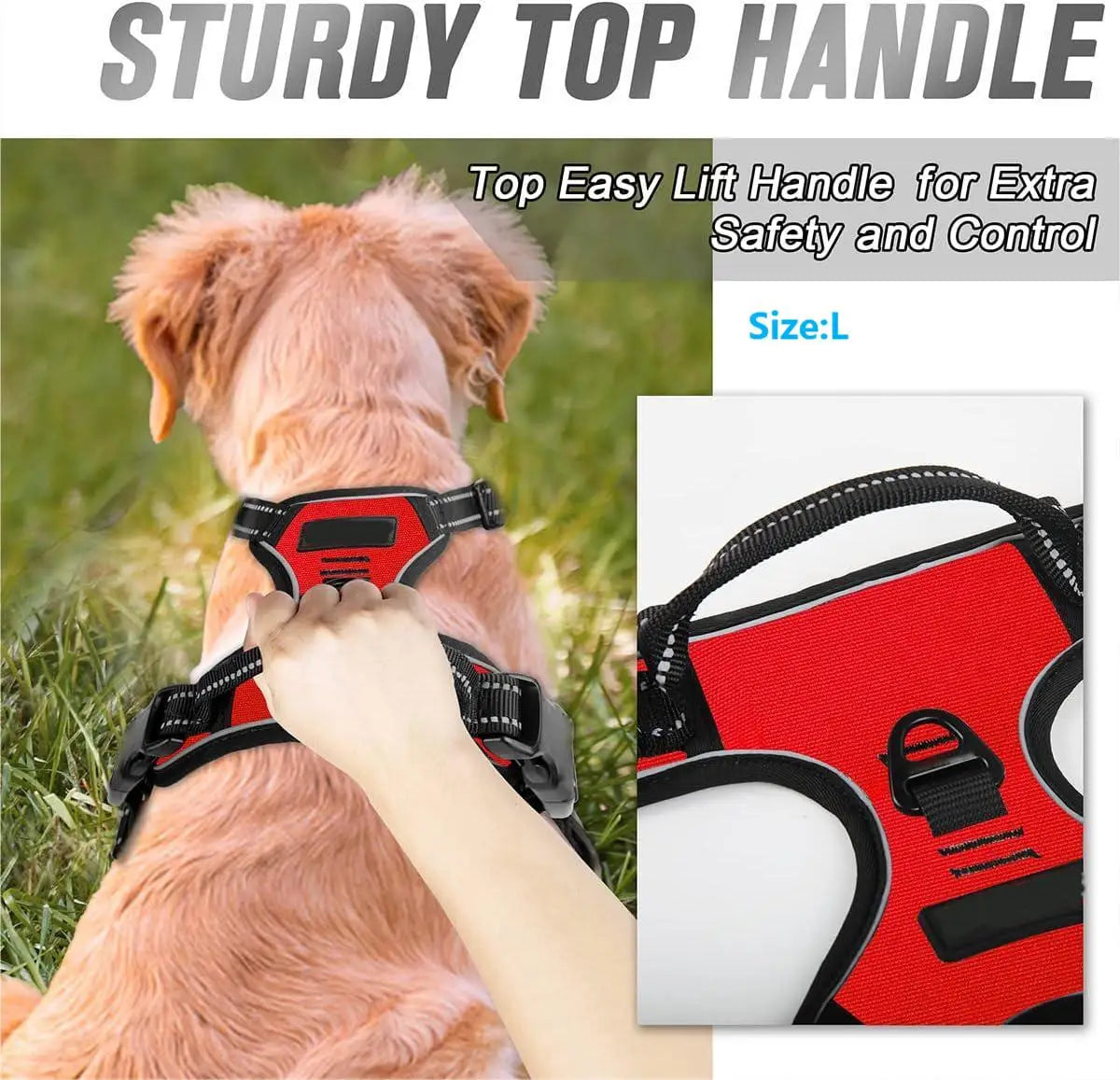 Reflective No-Pull Harness