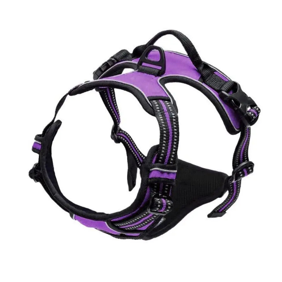 Reflective No-Pull Harness