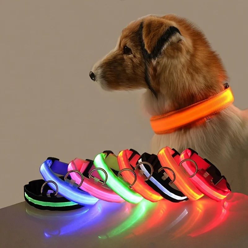 Glow LED Dog Collar