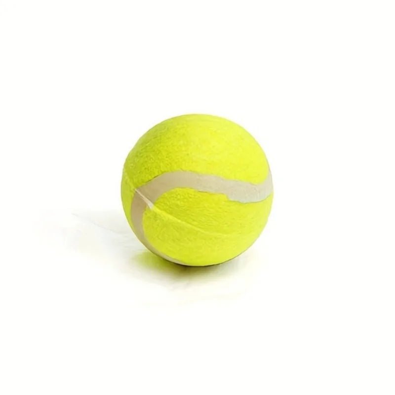 Ball Launcher Stick
