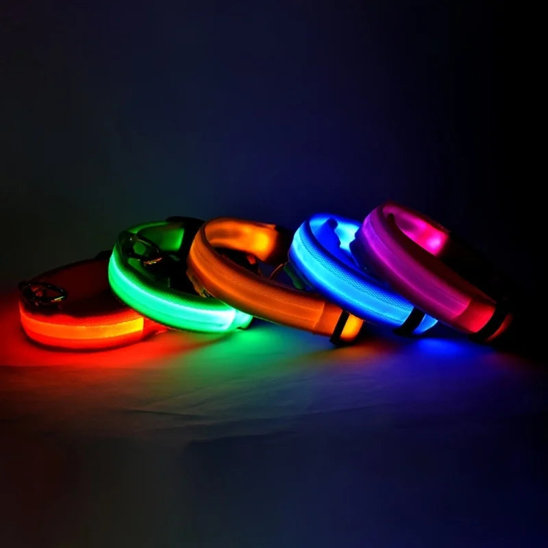 Glow LED Dog Collar