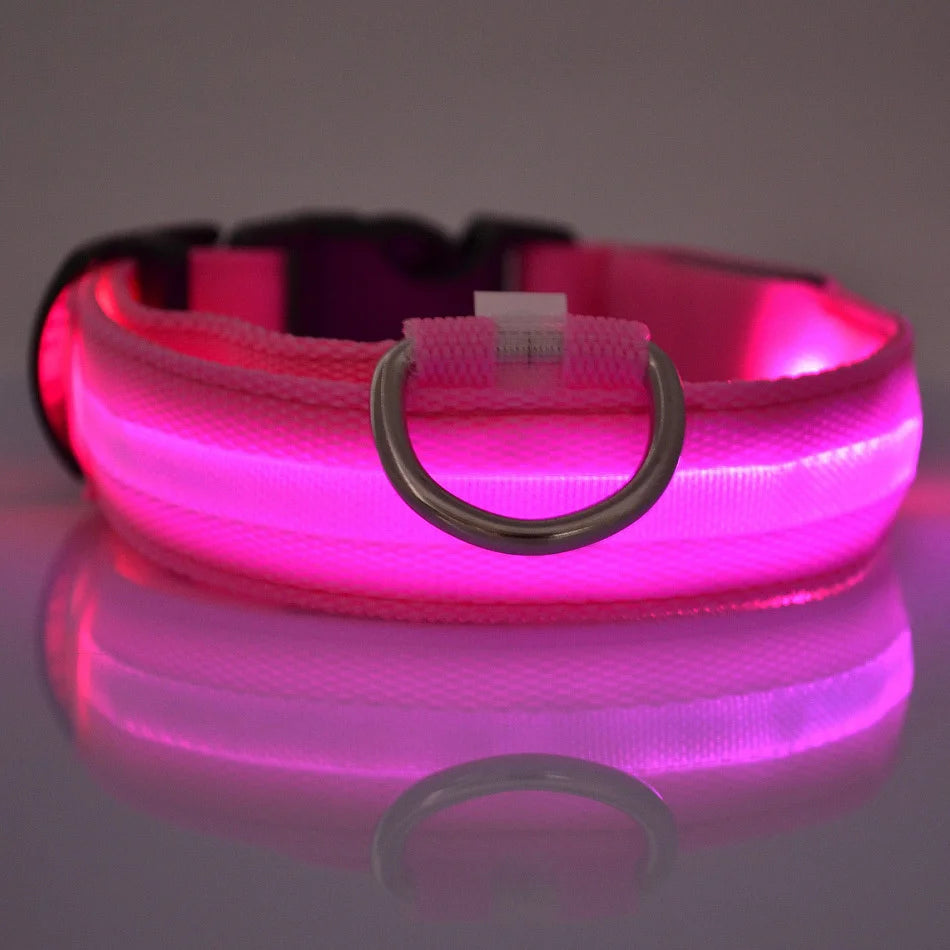 Glow LED Dog Collar