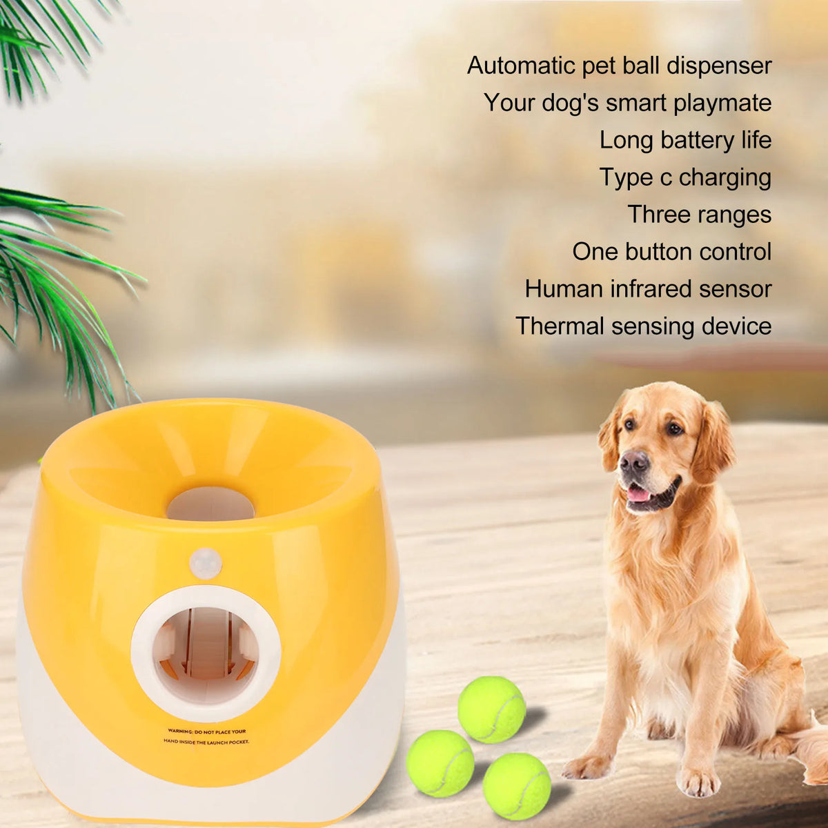 Automatic Ball Launcher