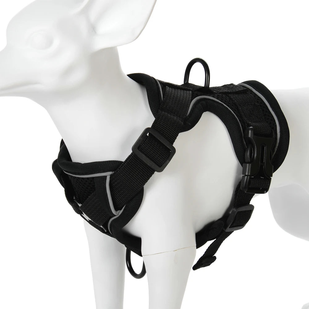 Padded No-Pull Harness