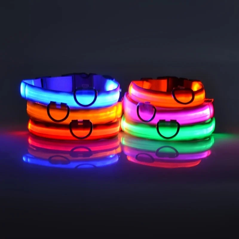 Glow LED Dog Collar