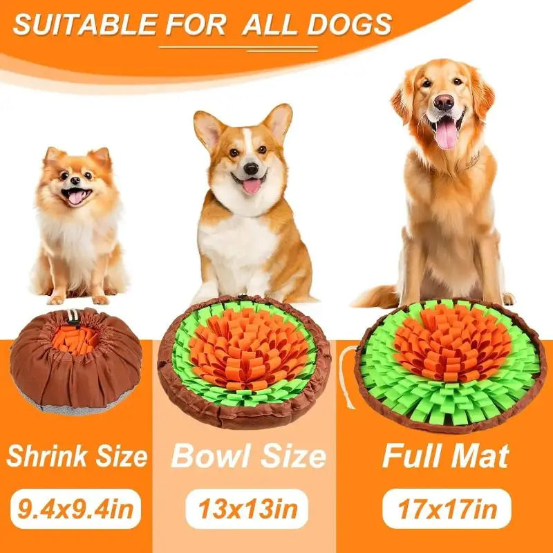 Snuffle Mat