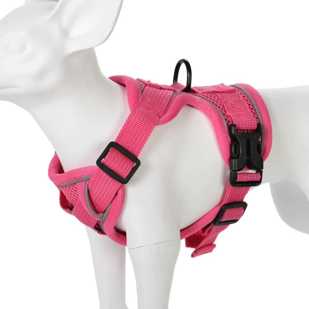 Padded No-Pull Harness