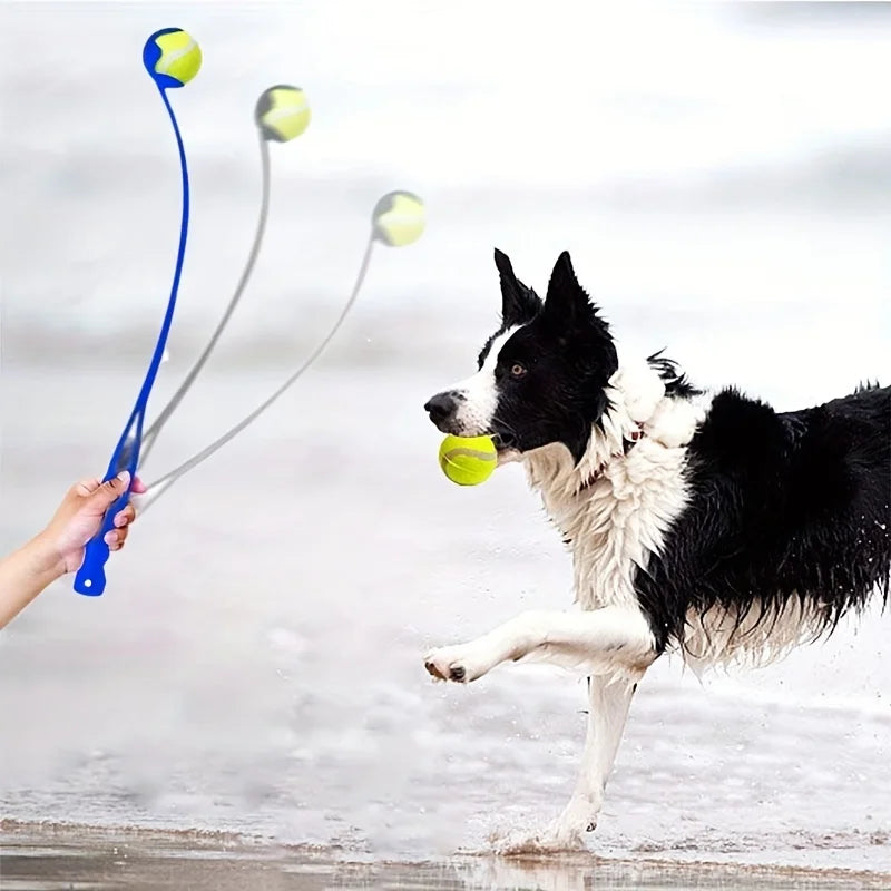 Ball Launcher Stick