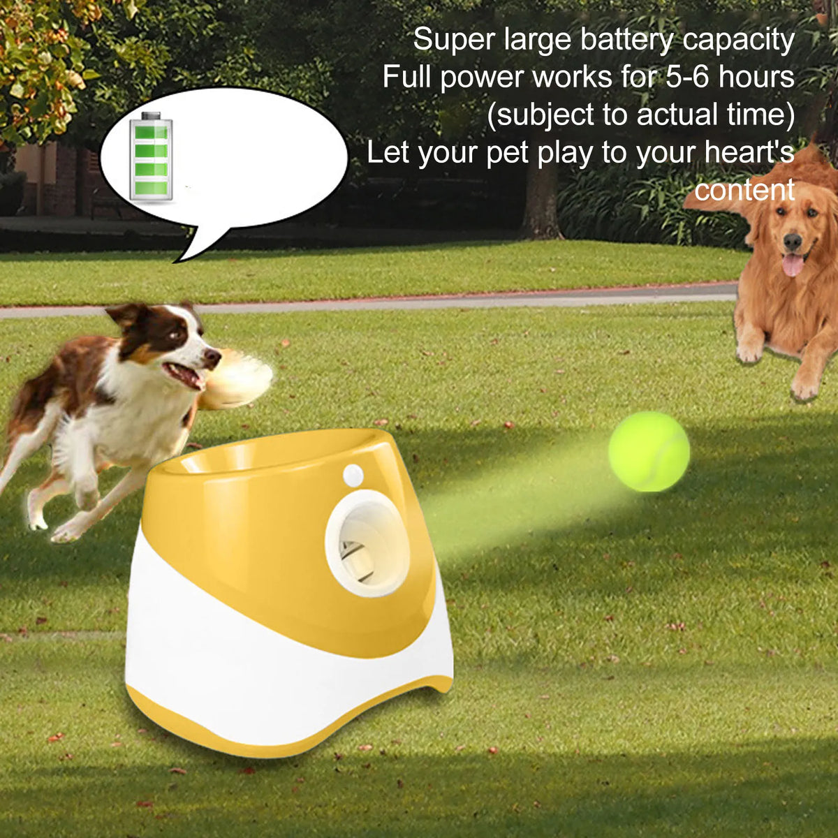 Automatic Ball Launcher