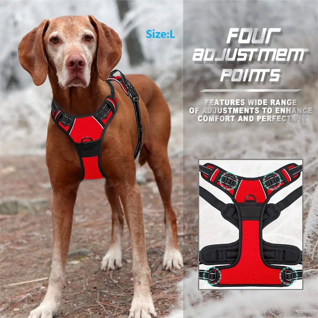 Reflective No-Pull Harness